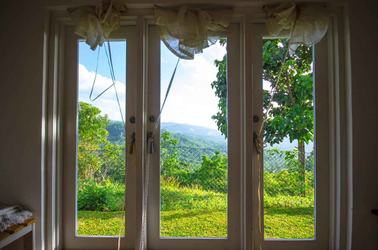 Summit View Bed & Breakfast Kandy Exterior photo