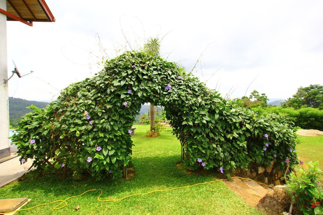 Summit View Bed & Breakfast Kandy Exterior photo